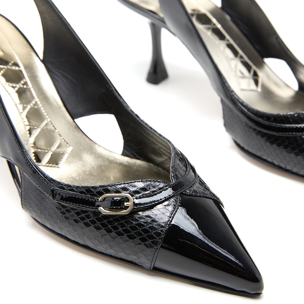 CAMELIA